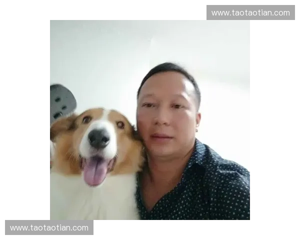 实时掌握足球比分直播500动态畅享全球赛事精彩瞬间