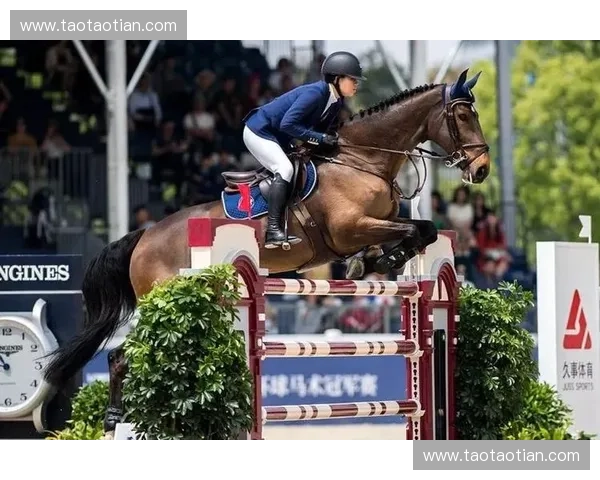 全球马术赛事安排及各大赛事详细时间表